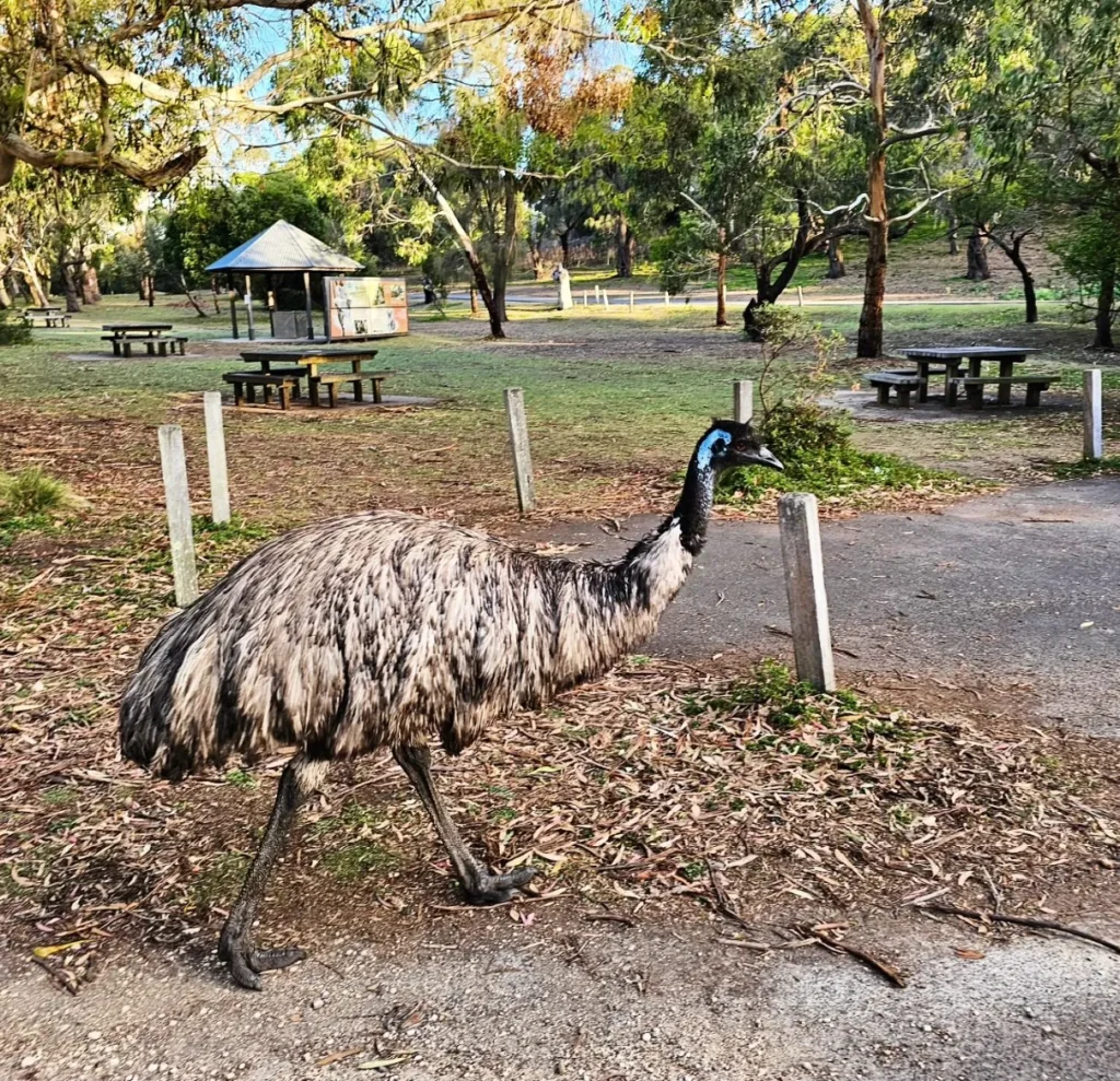 Tower Hill Wildlife Reserve